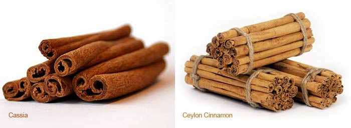 gin fűszernövények|cassia cinnamon